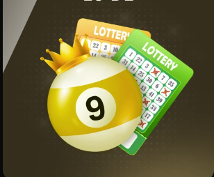 莱因克尔：恩古莫哈和道曼令人激动，他们的未来一片光明